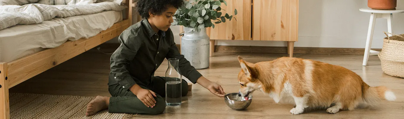 Pet Relocation